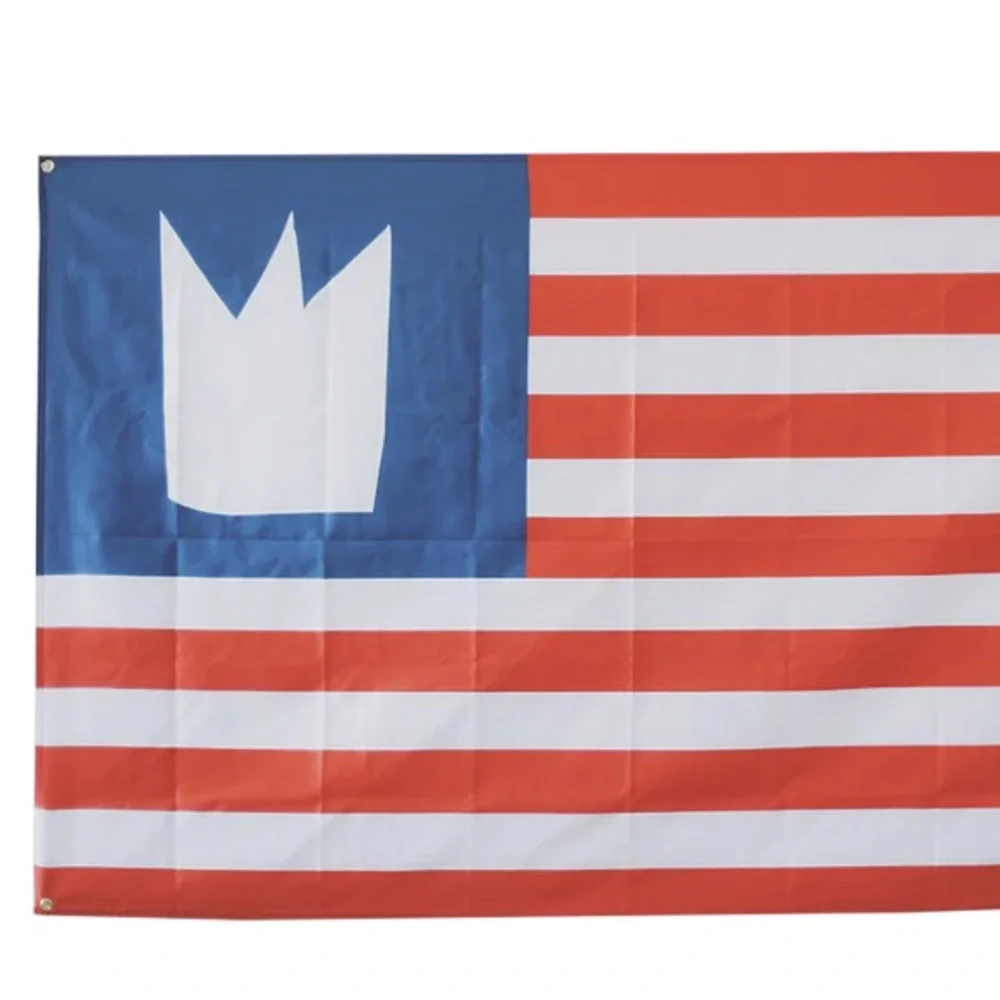 NEW Train the band wall hanging/tapestry/flag